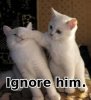 Ignore.jpg.jpeg