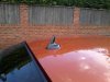 shark fin close up 2013-10-22 15.25.55.jpg