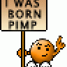 prizma